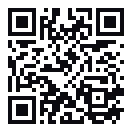 QR Claude per professionisti